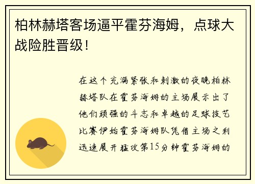 柏林赫塔客场逼平霍芬海姆，点球大战险胜晋级！